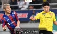 แทงบอล เจลีก